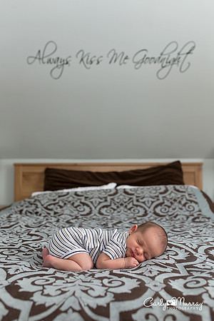 Southern Maine Newborn Photographer