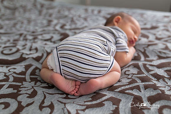 Southern Maine Newborn Photographer